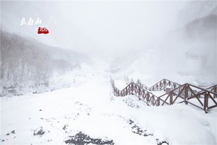 长白山的脾气