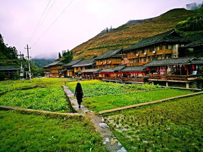 桂林的雨季是几月份，一座山水城池的湿润记忆