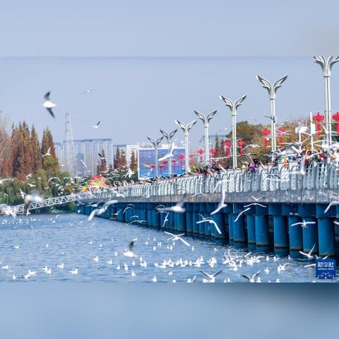 昆明天气15天天气预报,春城变幻,出行无忧指南 昆明天气15天天气预报,春城变幻,出行无忧指南