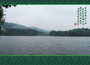 谷城天气，山色空蒙雨亦奇的四季诗篇