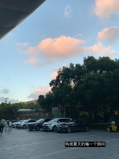 2023年8月,疫情后的盛夏,生活终于活了 2023年8月,疫情后的盛夏,生活终于活了