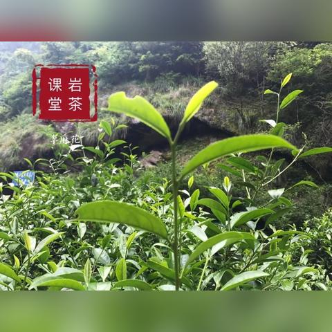 今明两天天气预报,晴雨交替,合理安排出行 今明两天天气预报,晴雨交替,合理安排出行
